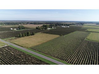 Van Buren County, Michigan Farmland - LAND AUCTION - 300+/- ACRES SPECIALTY CROP - GRAPES AND HOPS - OFFERED IN 8 TRACTS IN VAN BUREN COUNTY, MICHIGAN
